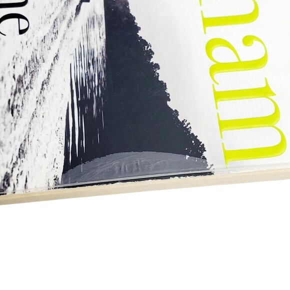 The Whistler by John Grisham 2016 Paperback Book Crime Thriller Scary Spooky - Picture 3 of 5